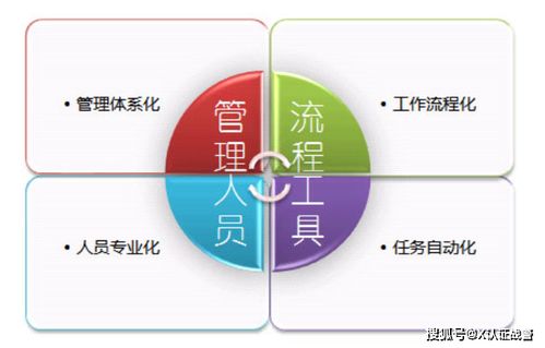 ISO 20000 信息技術(shù)服務(wù)管理標(biāo)準(zhǔn)入門(mén)解讀 - 上海擎標(biāo)信息技術(shù)服務(wù)視角